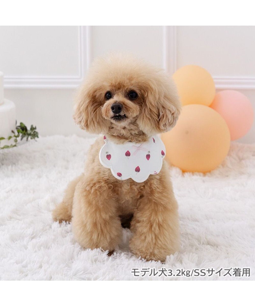 PET PARADISE ペットパラダイス  苺くるくるスタイ  小型犬