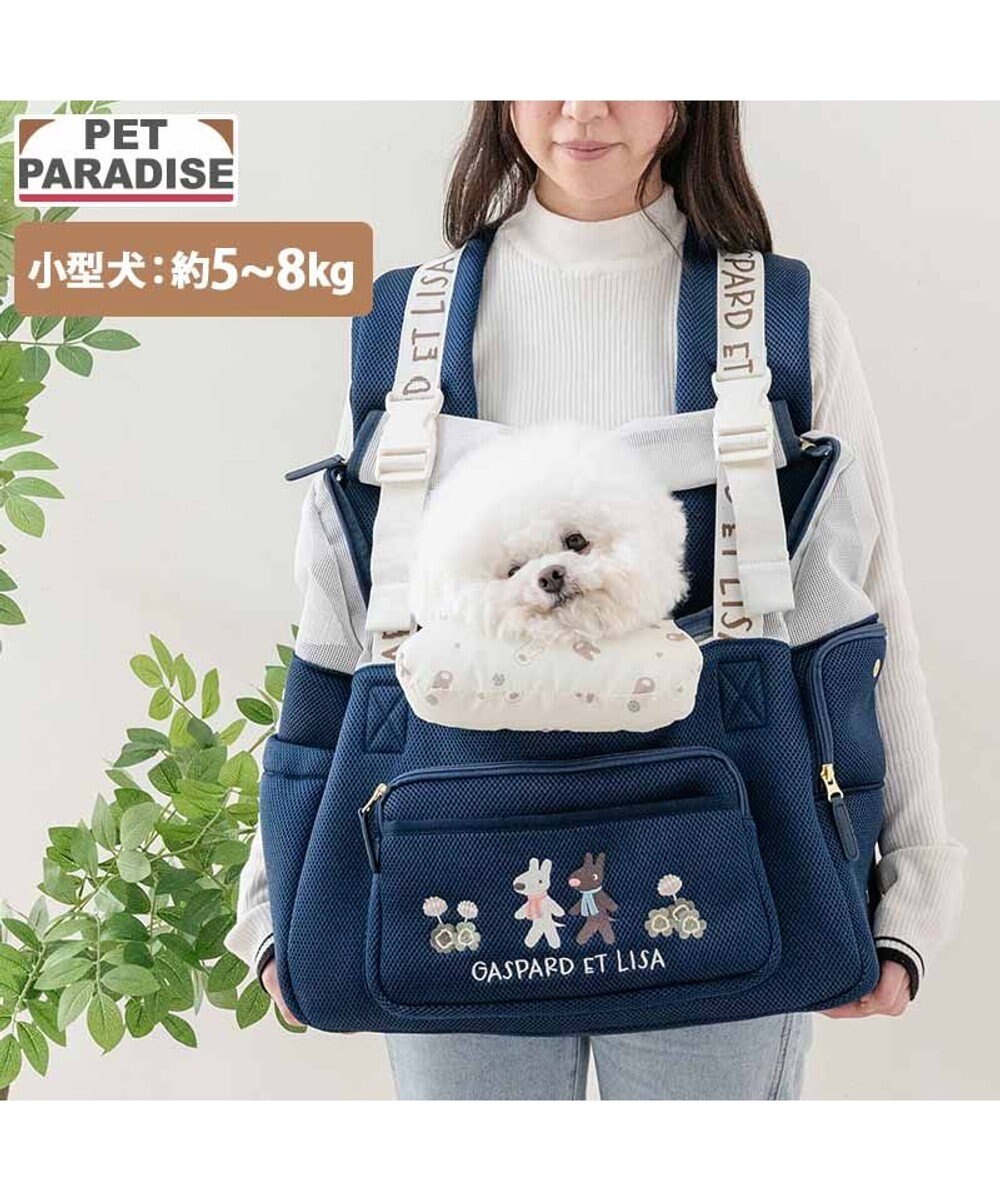 PET PARADISE リサとガスパール 優しい 抱っこハグリュックキャリーバッグ Ｌ 小型犬 