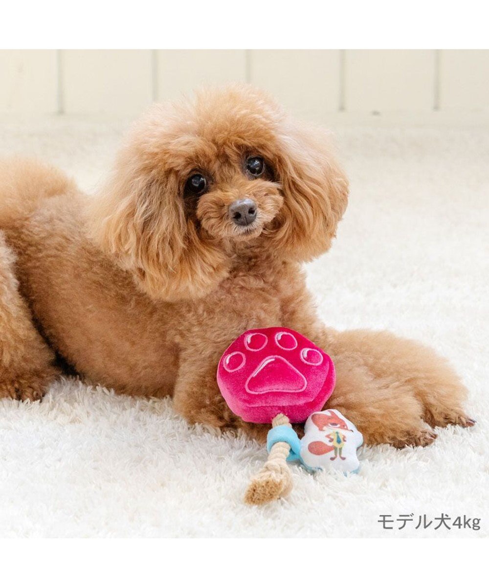 PET PARADISE ディズニー ズートピア アイス トイ 