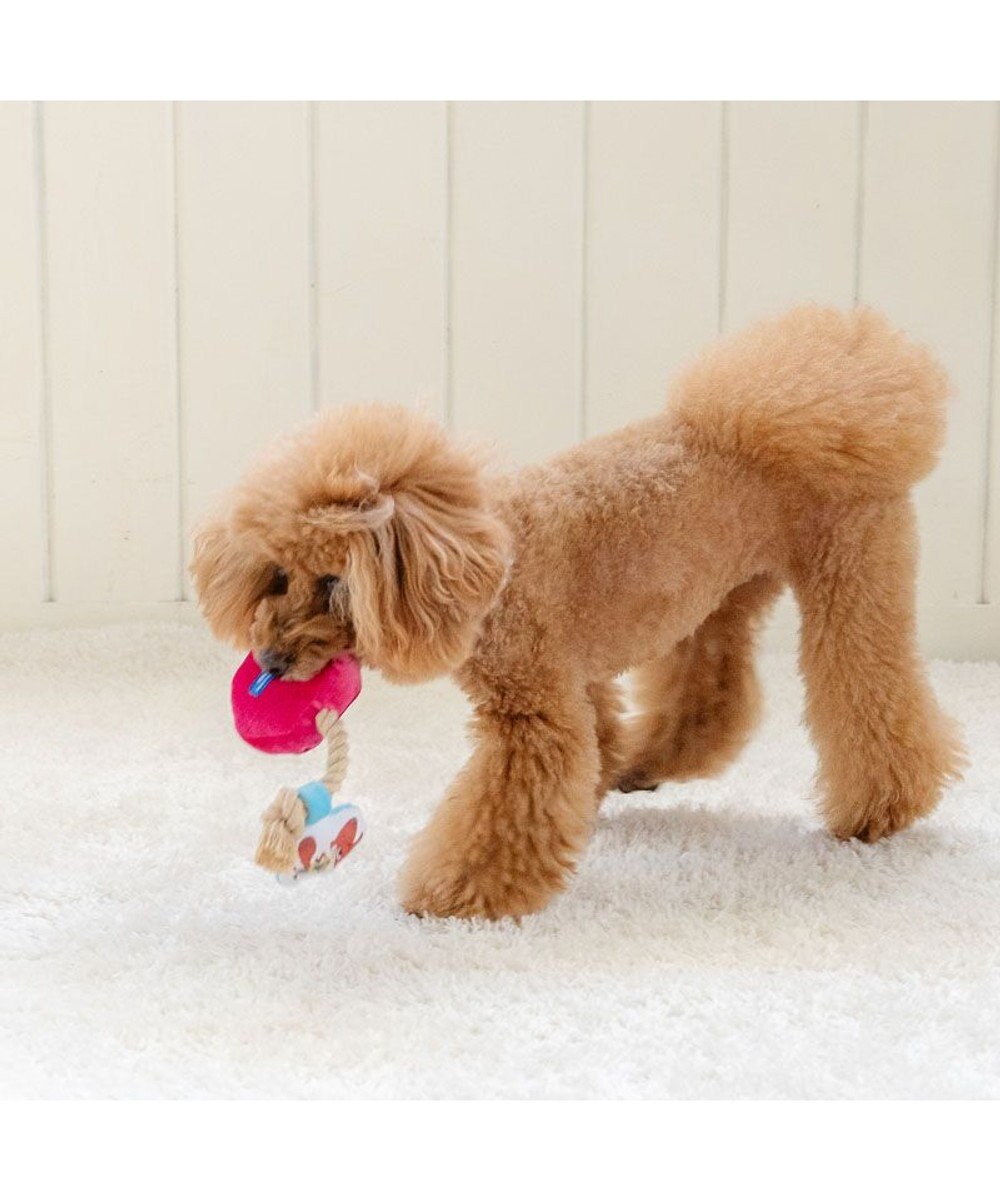 PET PARADISE ディズニー ズートピア アイス トイ 