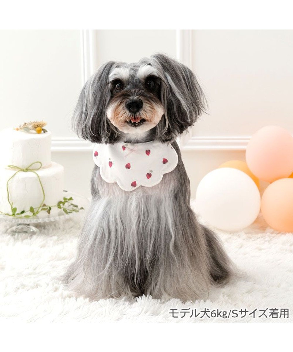 PET PARADISE ペットパラダイス  苺くるくるスタイ  小型犬