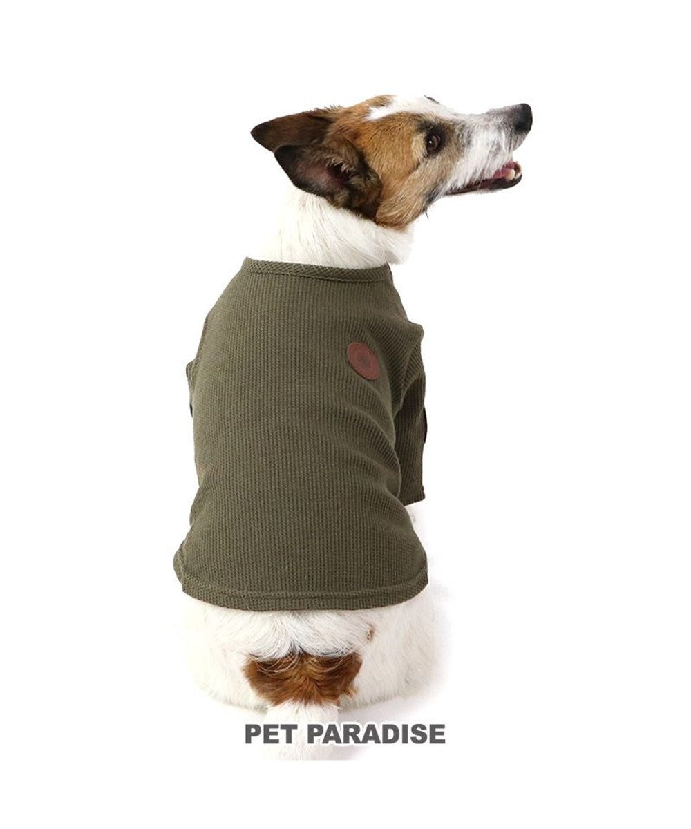 PET PARADISE J.PRESS ワッフル Tシャツ 【小型犬】 カーキ