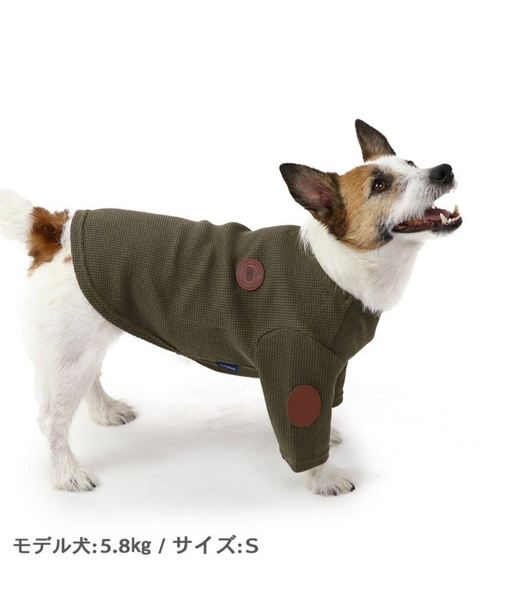 J.PRESS ワッフル Tシャツ 【小型犬】 / PET PARADISE | 【通販