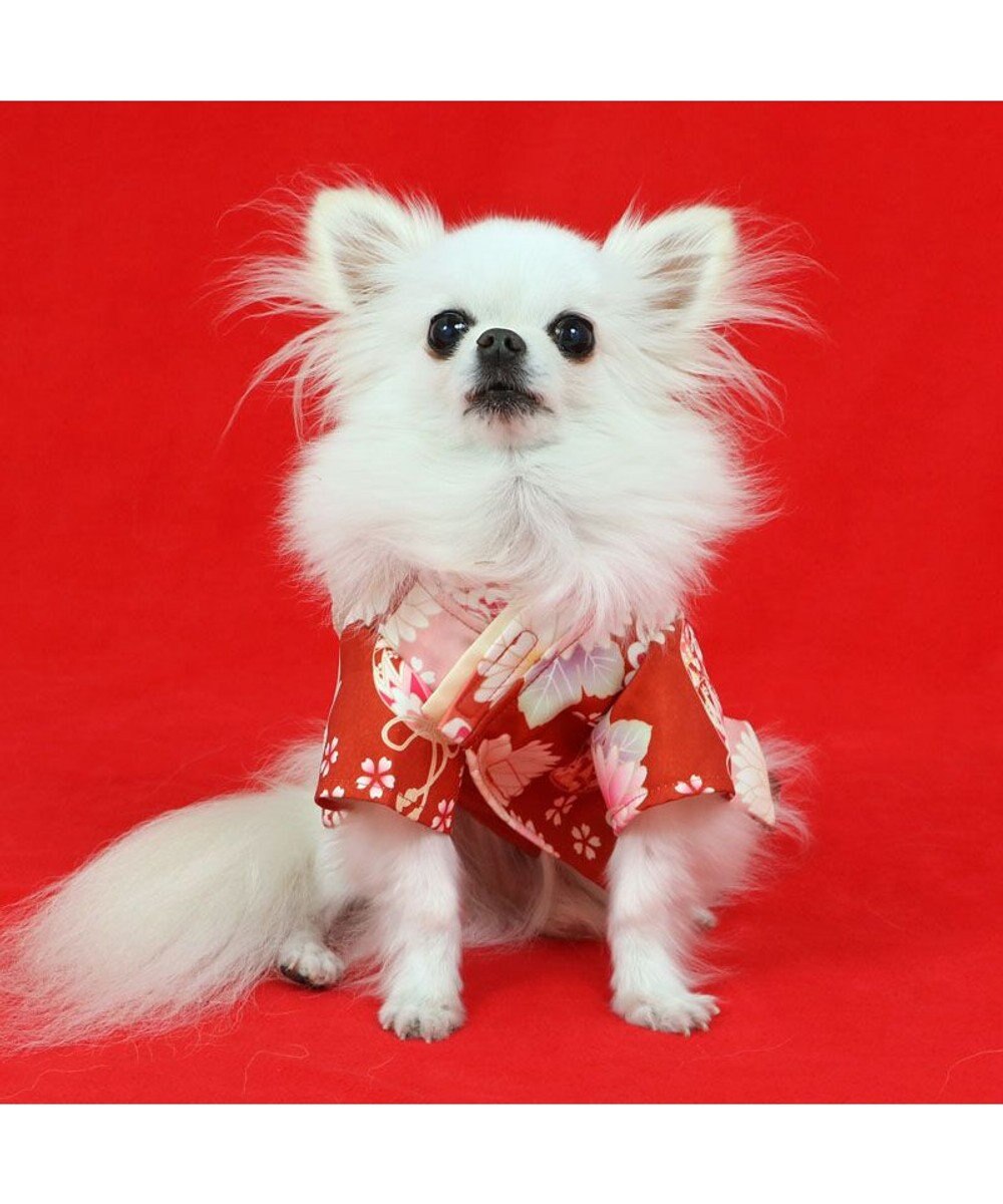 PET PARADISE ペットパラダイス 手毬菊 着物 小型犬