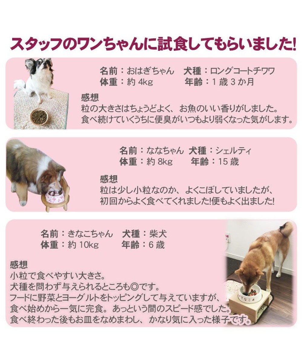 犬 おやつ 国産 フード ペットパラダイス 犬 おやつ 国産 ドッグフード ドライフード リアルフード フローラ 1kg 犬用総合栄養食 全犬種用 高齢犬 シニア ペットフード 犬 小分け 犬用 ペット 豚肉 ポーク Pet Paradise 通販 雑貨とペット用品の通販サイト