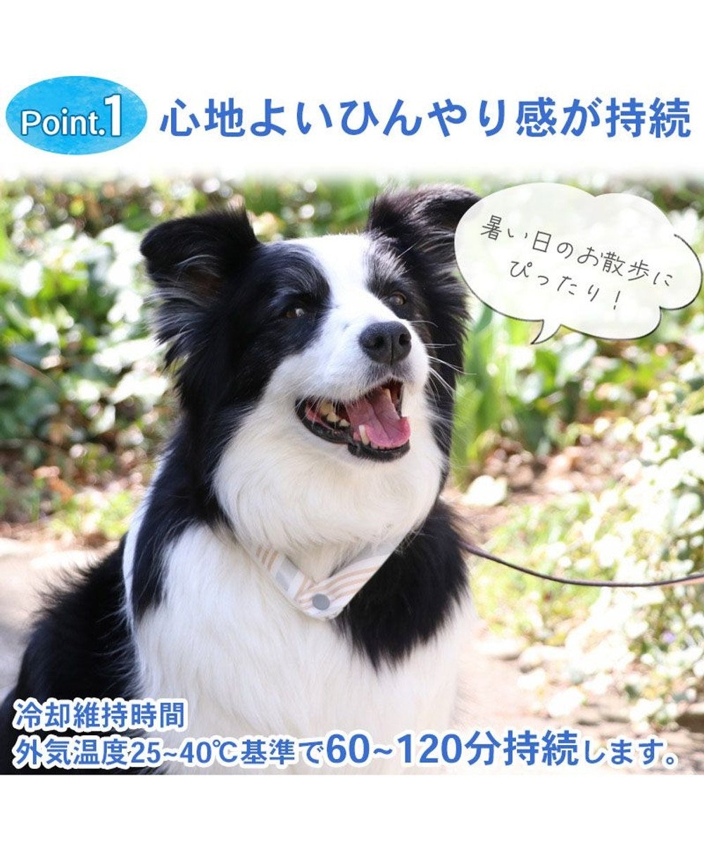 PET PARADISE クールリング 犬 クールネック ひんやり 28℃クールリング 【M】 リフレクター 水色 ベージュ 反射材付き