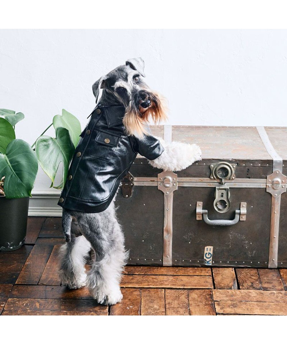 PET PARADISE Lee ＰＵ ライダース ジャケット 小型犬 
