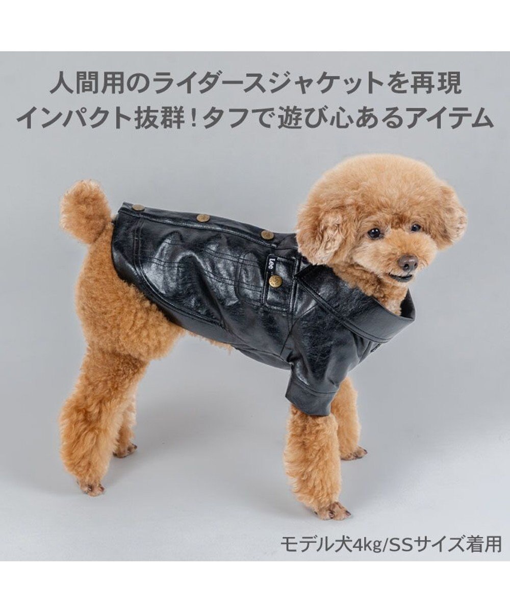 PET PARADISE Lee ＰＵ ライダース ジャケット 小型犬 