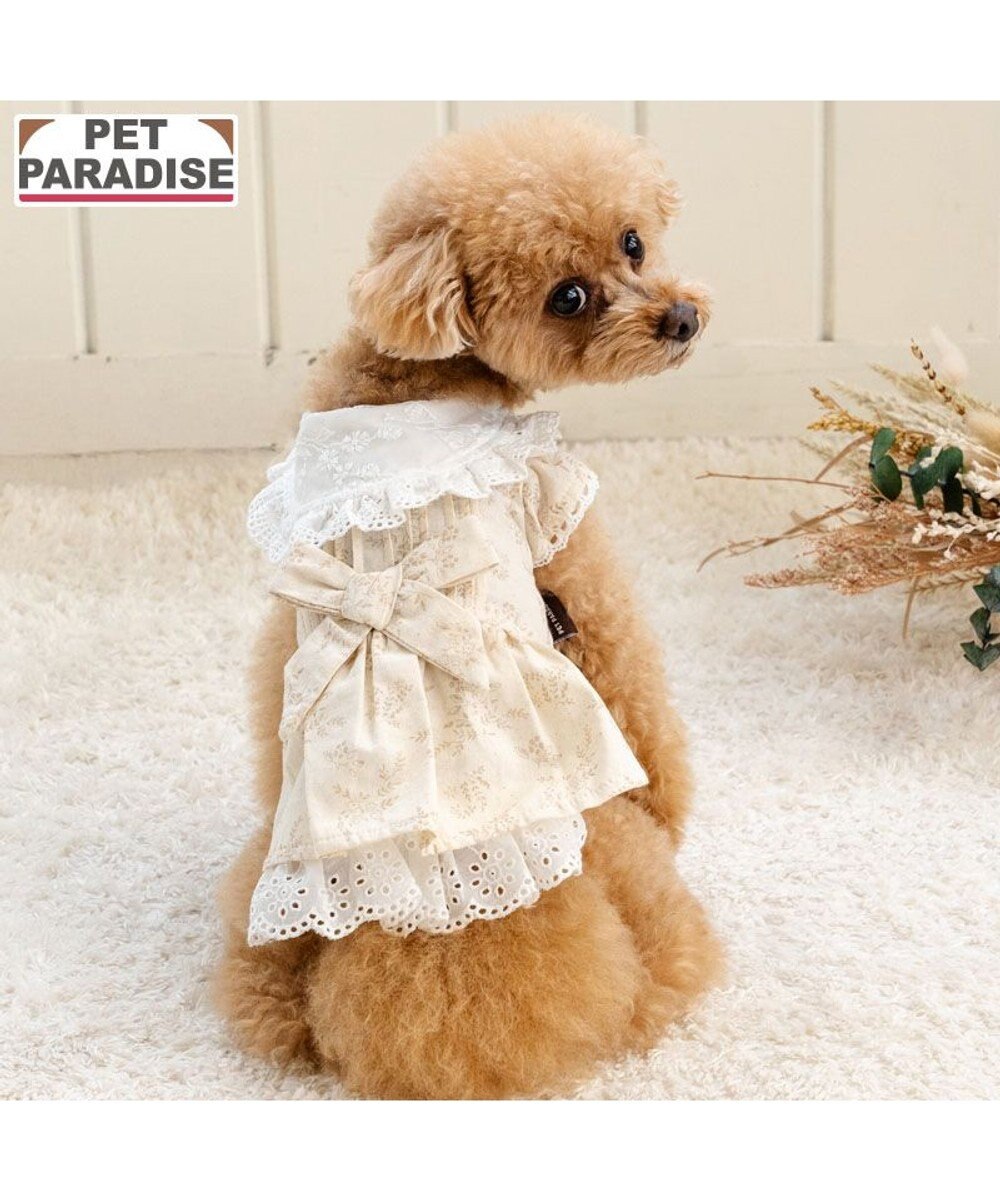 PET PARADISE ペットパラダイス ナチュラルレース ワンピース 小型犬 ベージュ✕ホワイト