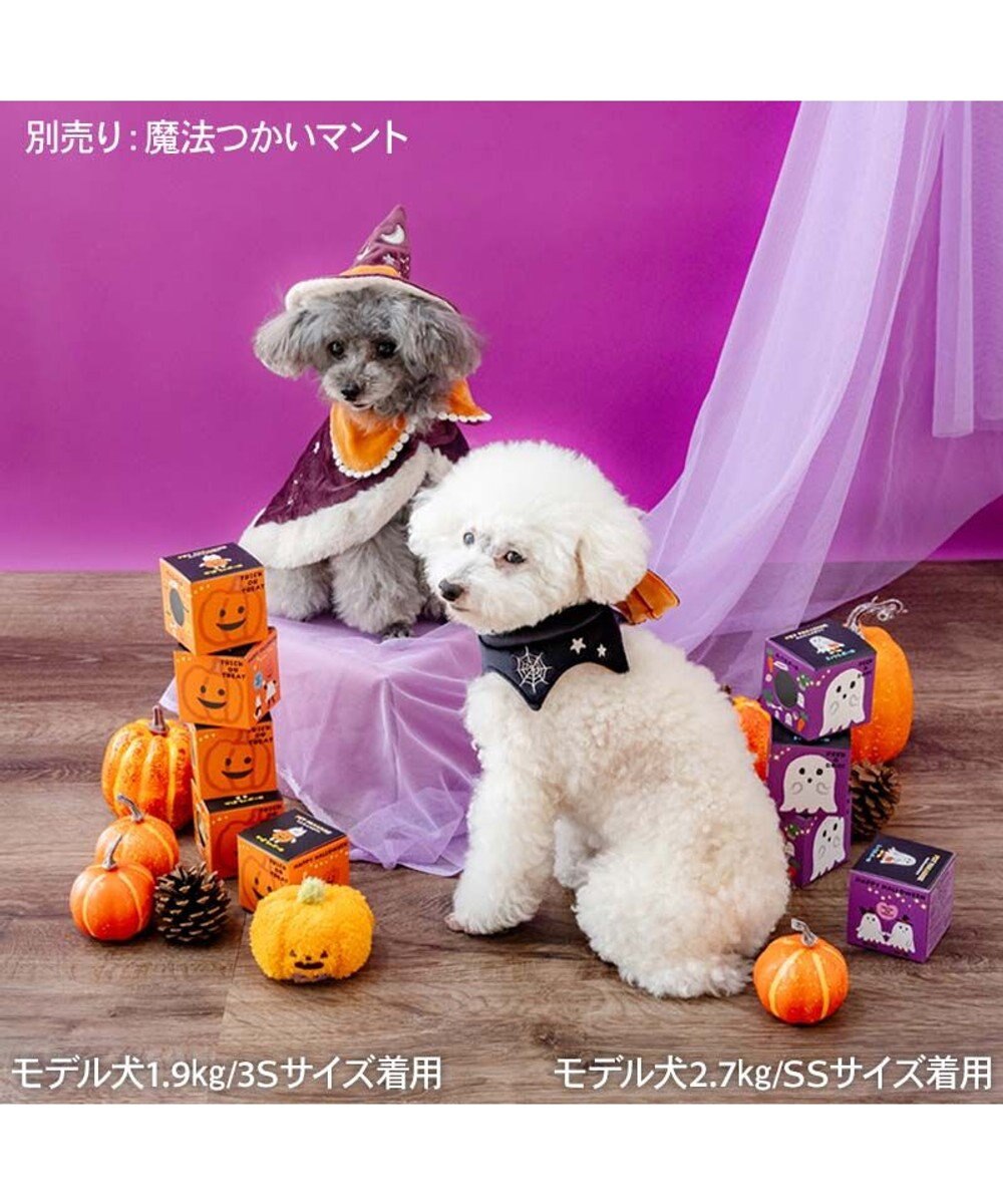 PET PARADISE ペットパラダイス コウモリチョーカー 小型犬 