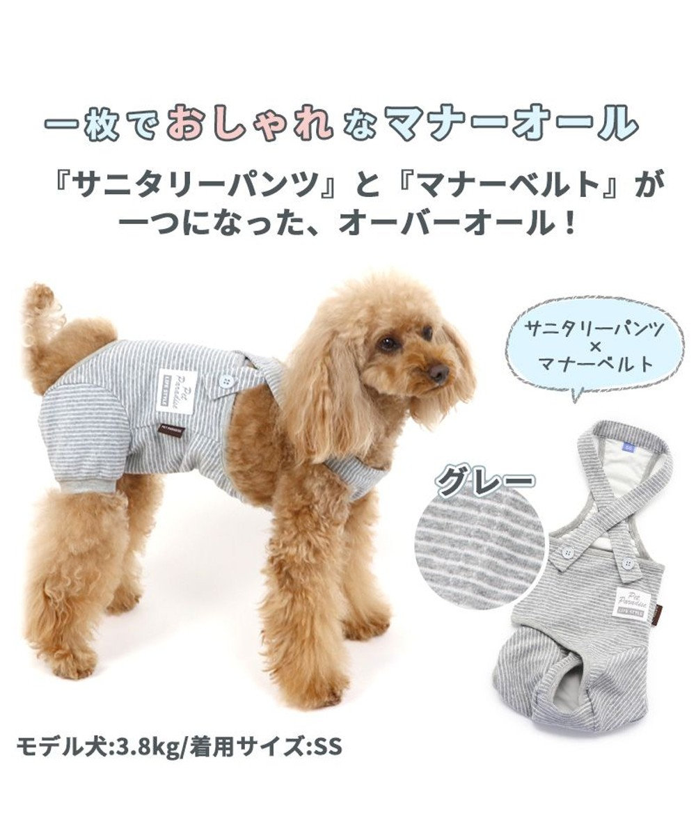 犬 服 夏服 マナーオール グレー 小型犬 オムツ おむつ 術後服 サニタリー マナーベルト マナーパンツ Pet Paradise 通販 雑貨とペット用品の通販サイト マザーガーデン ペットパラダイス 犬 服 夏服 マナーオール グレー 小型犬 オムツ おむつ 術後服 サニタリー マナーベルト マナーパンツ Pet Paradise 通販 雑貨とペット用品の通販サイト マザーガーデン ペットパラダイス