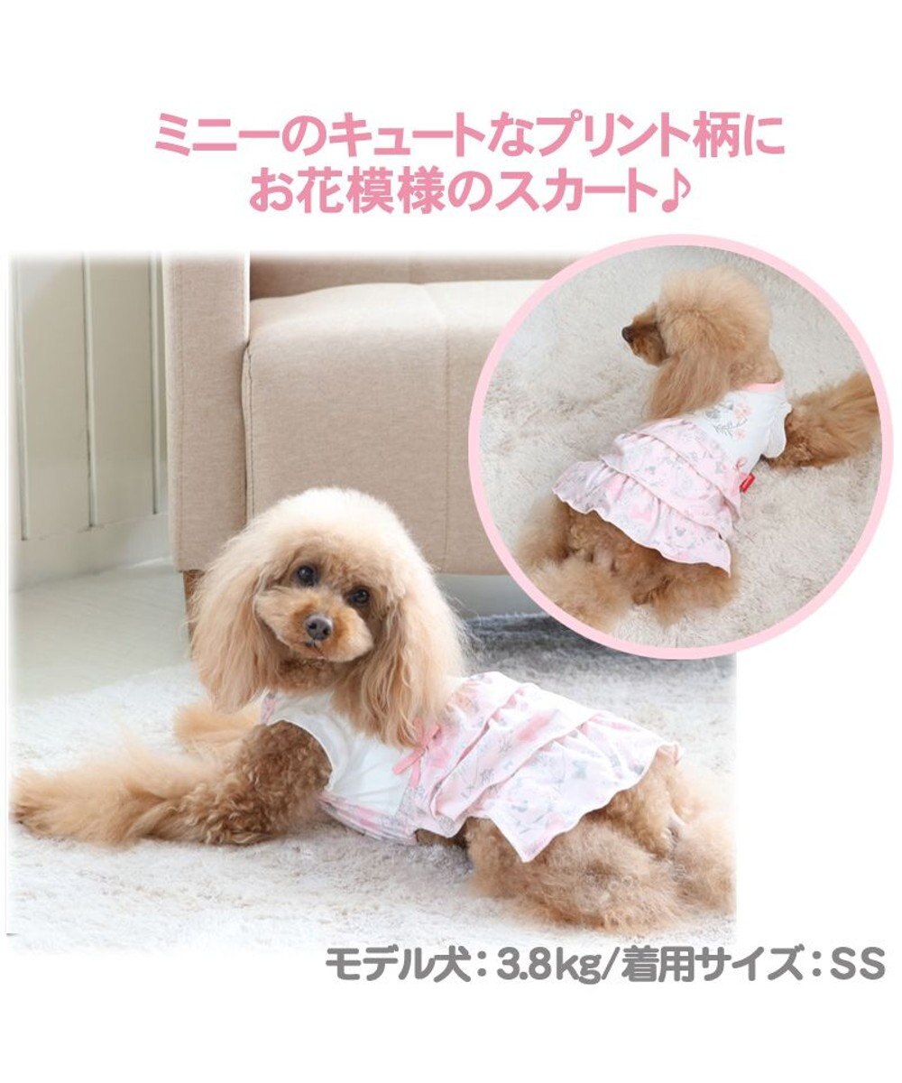 犬服 犬 服 ペットパラダイス ディズニー ミニーマウス クール 接触冷感 虫よけ 花柄 ワンピース 小型犬 超小型犬 小型犬 天竺 ひんやり 夏 涼感 冷却 吸水速乾 クールマックス Pet Paradise 通販 雑貨とペット用品の通販サイト マザーガーデン ペット 犬服 犬 服 ペットパラダイス ディズニー ミニーマウス クール 接触冷感 虫よけ 花柄 ワンピース 小型犬 超小型犬 小型犬 天竺 ひんやり 夏 涼感 冷却 吸水速乾 クールマックス Pet Paradise 通販 雑貨とペット用品の通販サイト マザーガーデン ペット