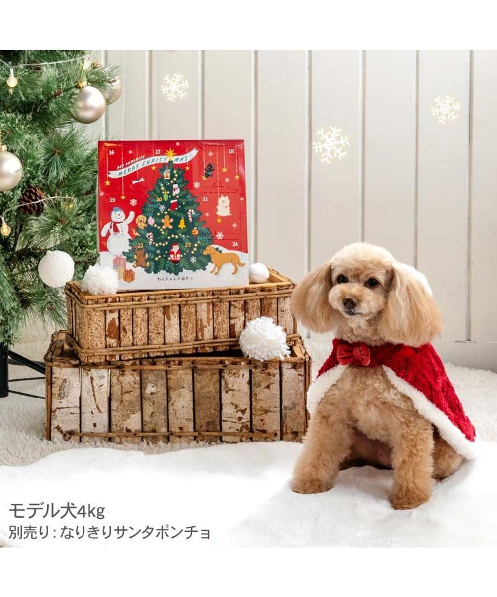 PET PARADISE 2025 クリスマス アドベントカレンダー おやつ 国産