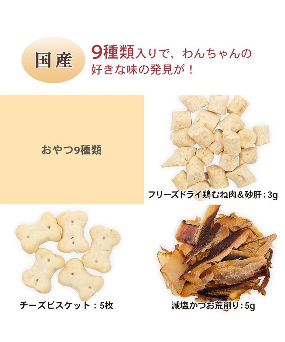 PET PARADISE 2025 クリスマス アドベントカレンダー おやつ 国産 