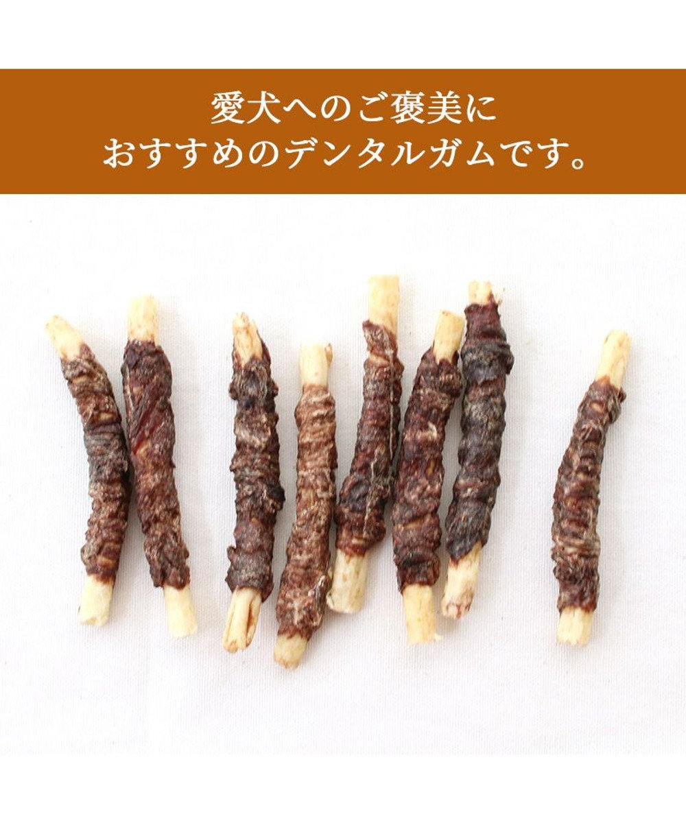 PET PARADISE 鹿肉巻き 牛皮ガム 8本 国産