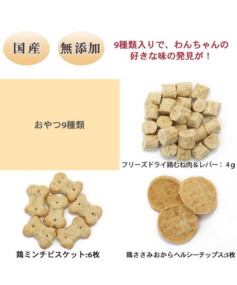 PET PARADISE 2024 クリスマス アドベントカレンダー おやつ 国産 