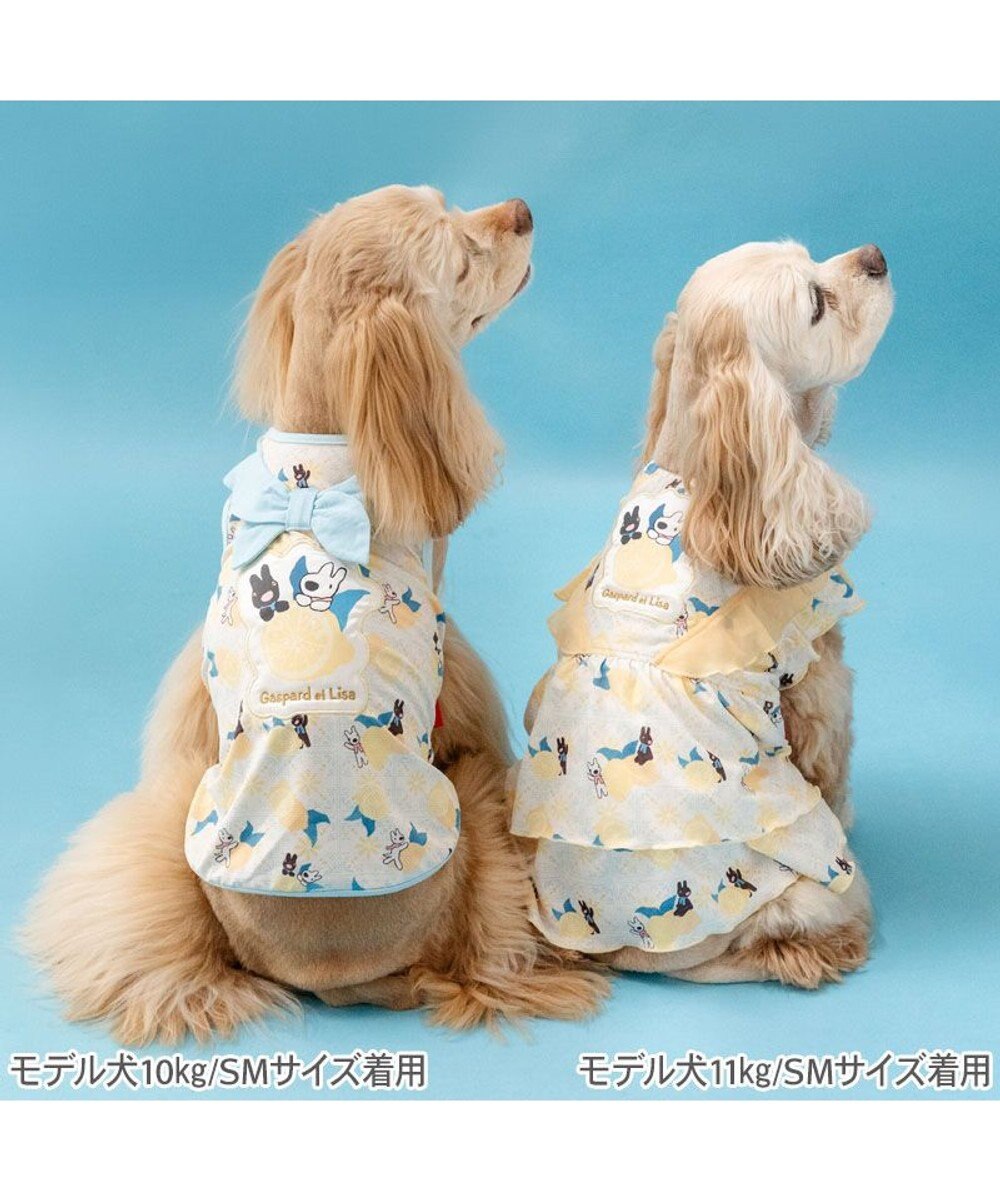 PET PARADISE リサとガスパール エコメイド シトラス ワンピース 中型犬 