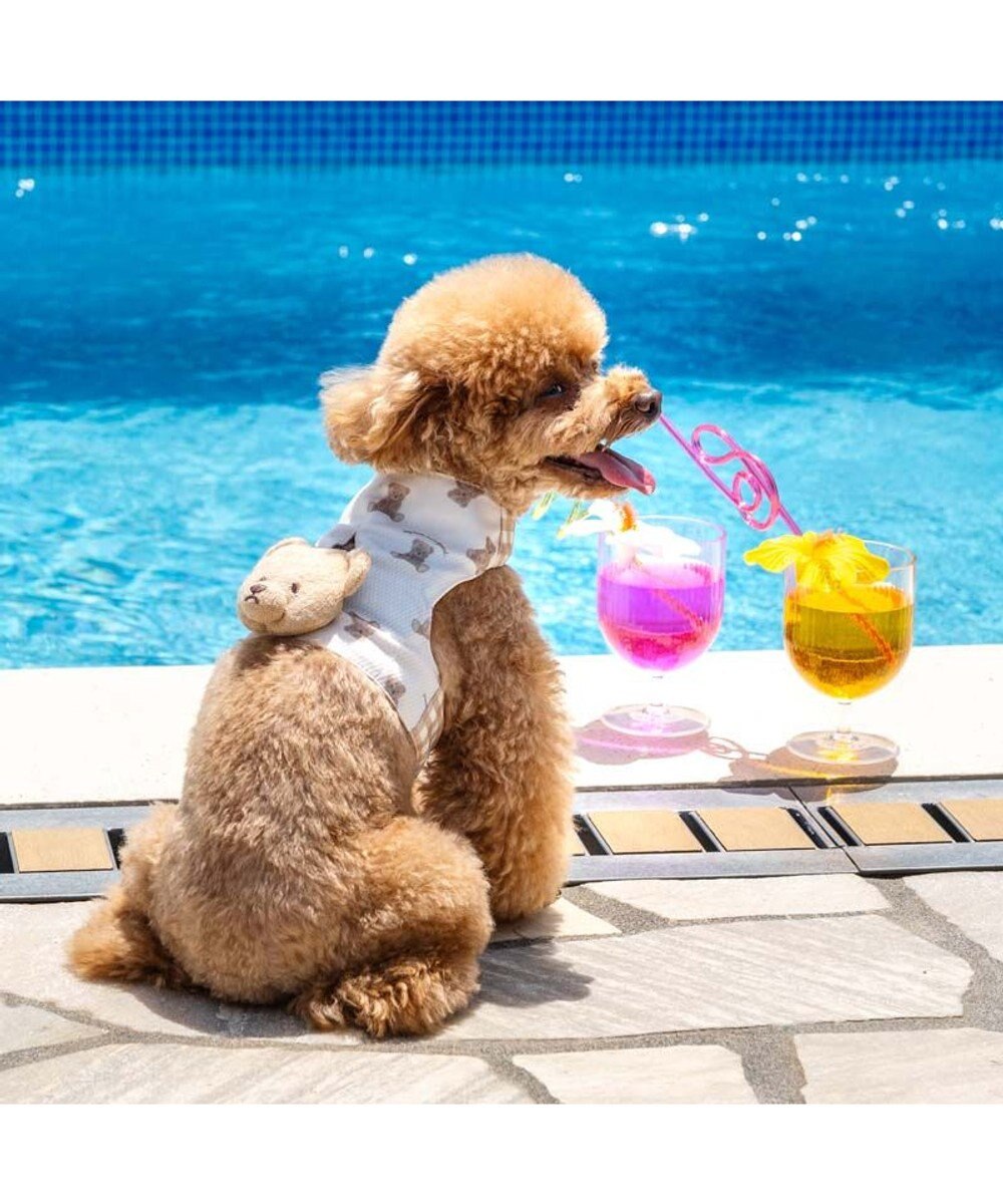 PET PARADISE ペットパラダイス くまちゃん クールベスト 小型犬 