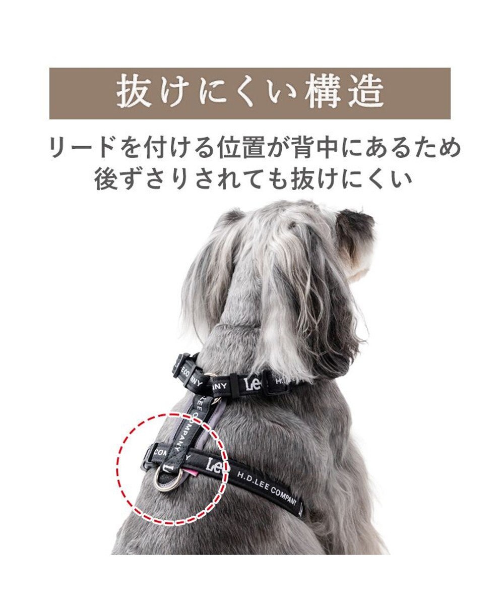 PET PARADISE Lee ロゴアクティブ ハーネス ＳＳ 