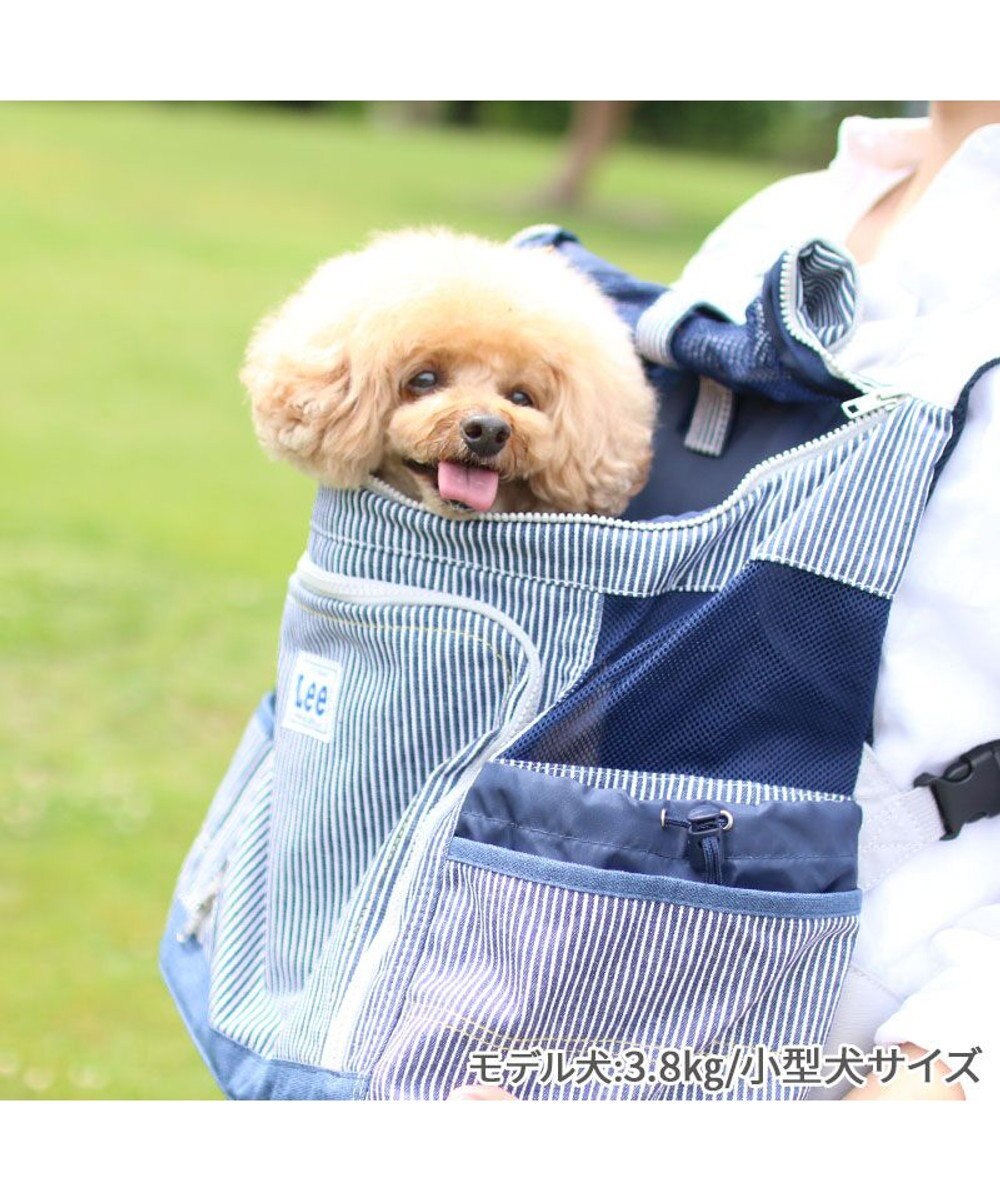 PET PARADISE Ｌｅｅ ハグ＆リュック  キャリーバッグ 《ヒッコリー柄》 M 小型犬 