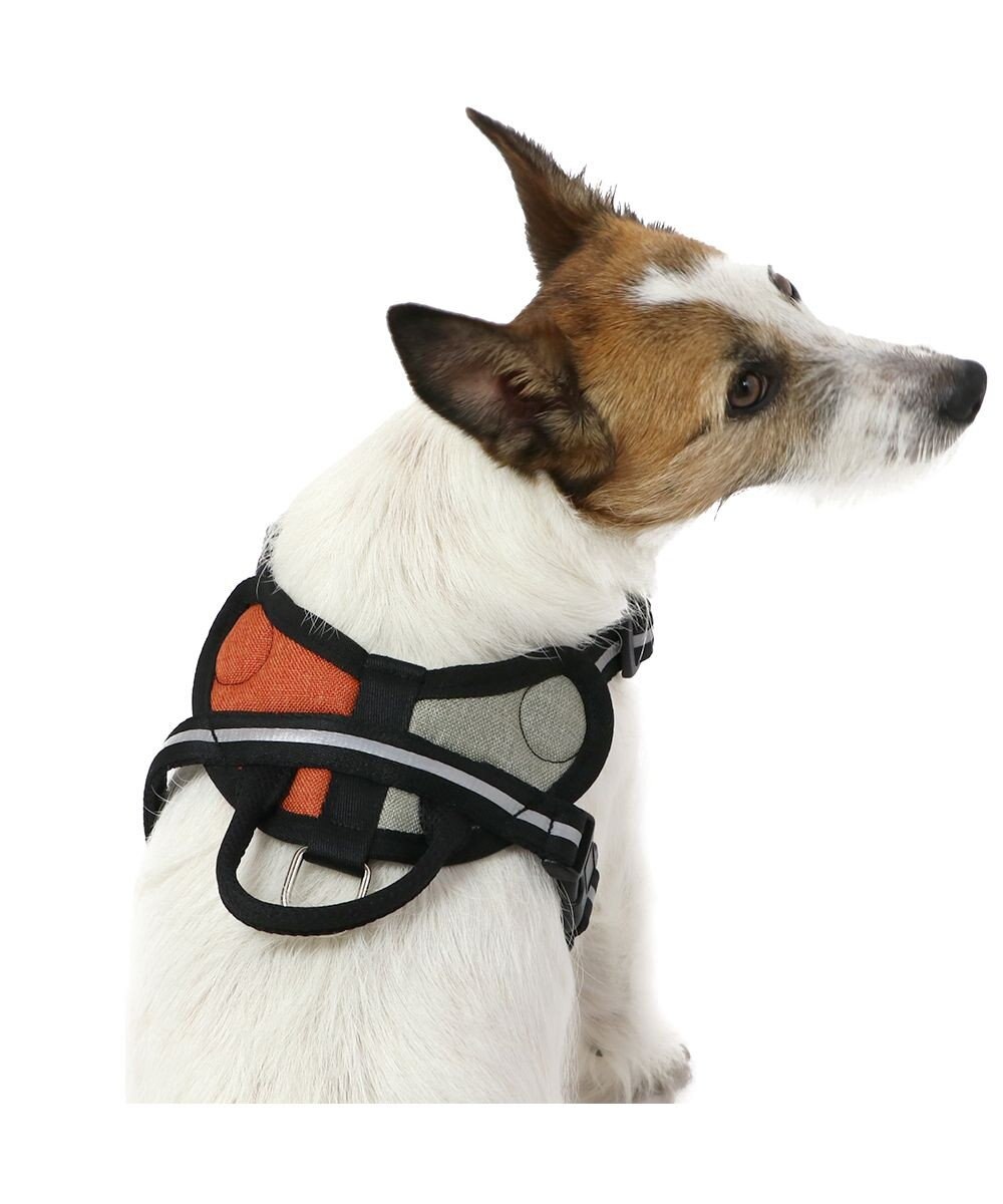 PET PARADISE ヘッドインハーネス 【ＳＳ】 オレンジ / ブルー 【小型犬】 