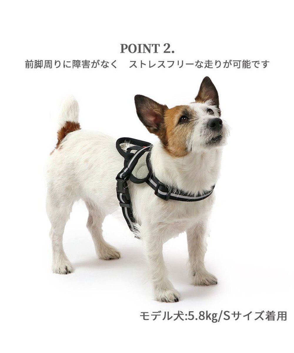 PET PARADISE ヘッドインハーネス 【ＳＳ】 オレンジ / ブルー 【小型犬】 