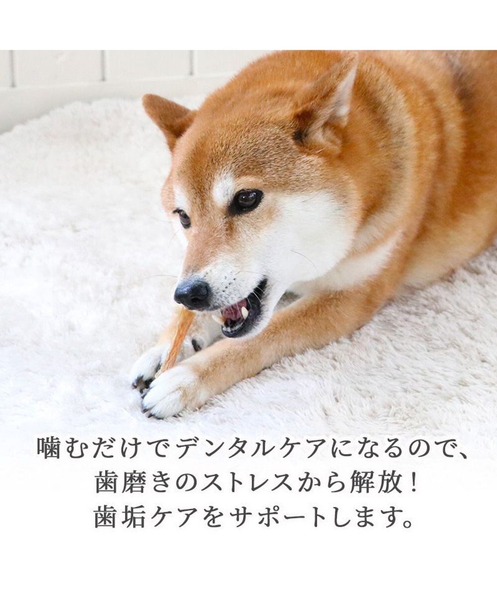 PET PARADISE 馬アキレス デンタル ジャーキー 100g 国産 