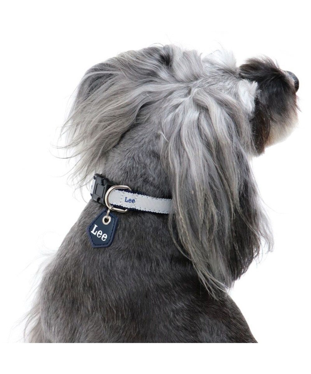 犬 首輪 ｌｅｅ ｓｓ チャーム付き 小型犬 おさんぽ おでかけ お出掛け おしゃれ オシャレ かわいい Pet Paradise 通販 雑貨とペット用品の通販サイト マザーガーデン ペットパラダイス