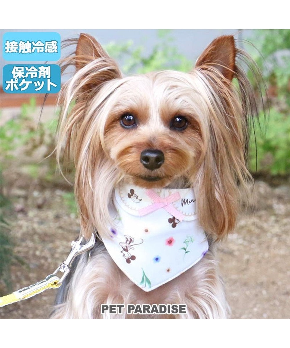 犬 クール バンダナ ひんやり 夏 保冷剤付き ディズニー ミニーマウス 水彩 花柄 ネッククーラー 小型犬 首元 ひんやり バンダナ ひんやり 涼感 冷却 吸水速乾 キャラクター Pet Paradise 通販 雑貨とペット用品の通販サイト マザーガーデン ペットパラダイス 犬 クール バンダナ ひんやり 夏 保冷剤付き ディズニー ミニーマウス 水彩 花柄 ネッククーラー 小型犬 首元 ひんやり バンダナ ひんやり 涼感 冷却 吸水速乾 キャラクター Pet Paradise 通販 雑貨とペット用品の通販サイト マザーガーデン ペットパラダイス