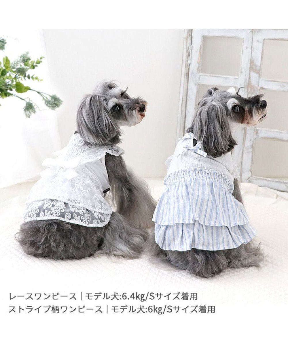 PET PARADISE ペットパラダイス ストライプ ワンピース 小型犬 
