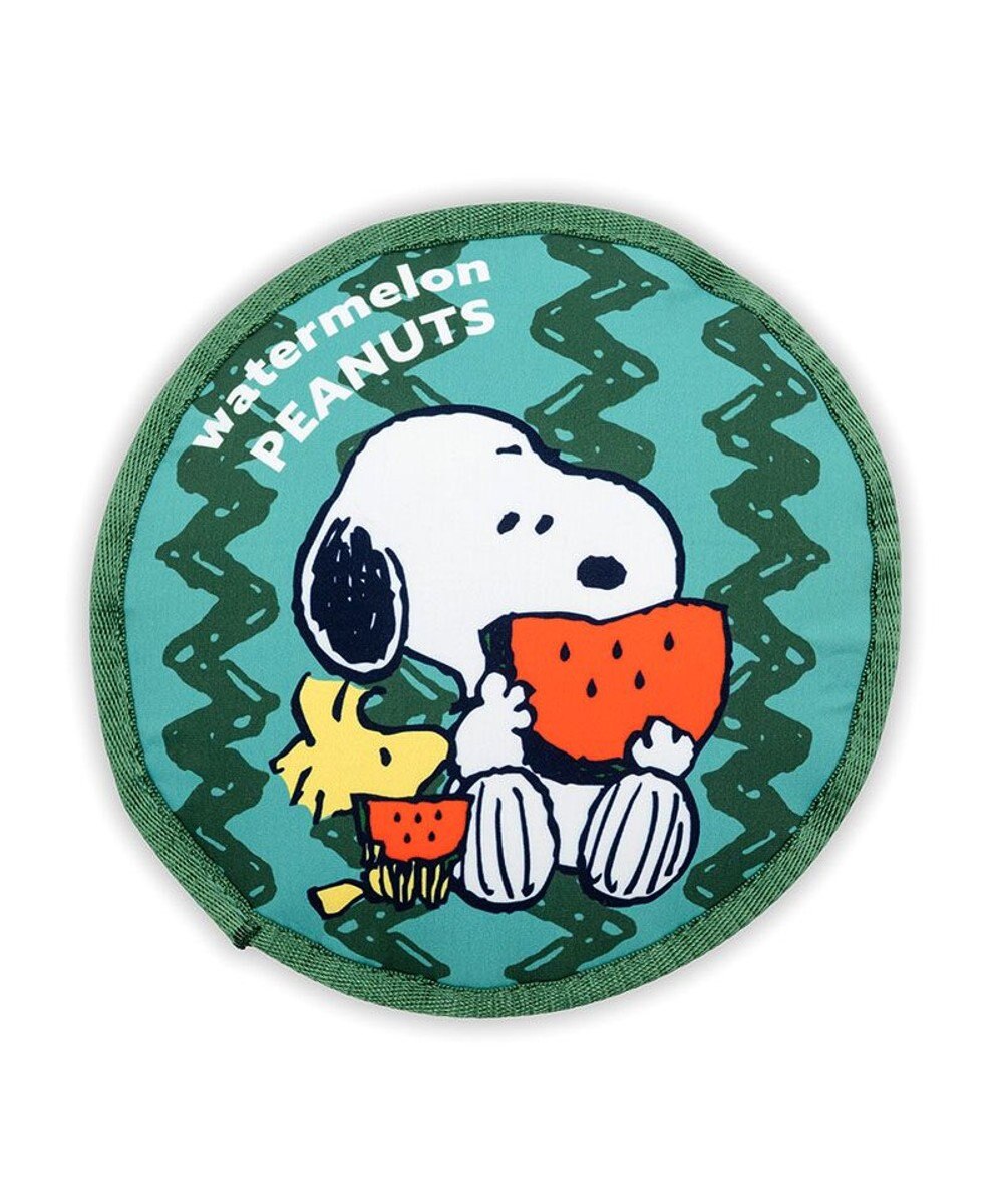 PET PARADISE スヌーピー  スイカ フロートトイ 