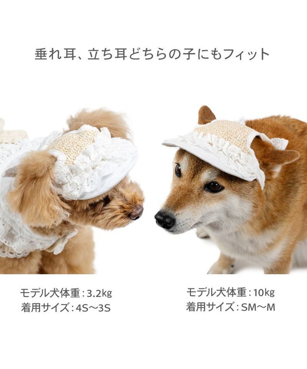 PET PARADISE ペットパラダイス フリル キャップ ４Ｓ～３Ｓ/ＳＳ～Ｓ 