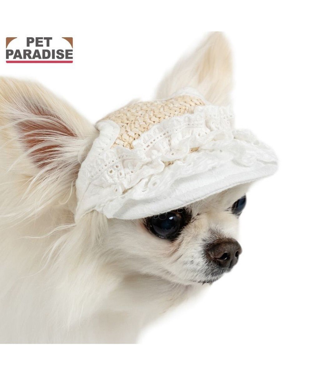 PET PARADISE ペットパラダイス フリル キャップ ４Ｓ～３Ｓ/ＳＳ～Ｓ ホワイト×ベージュ