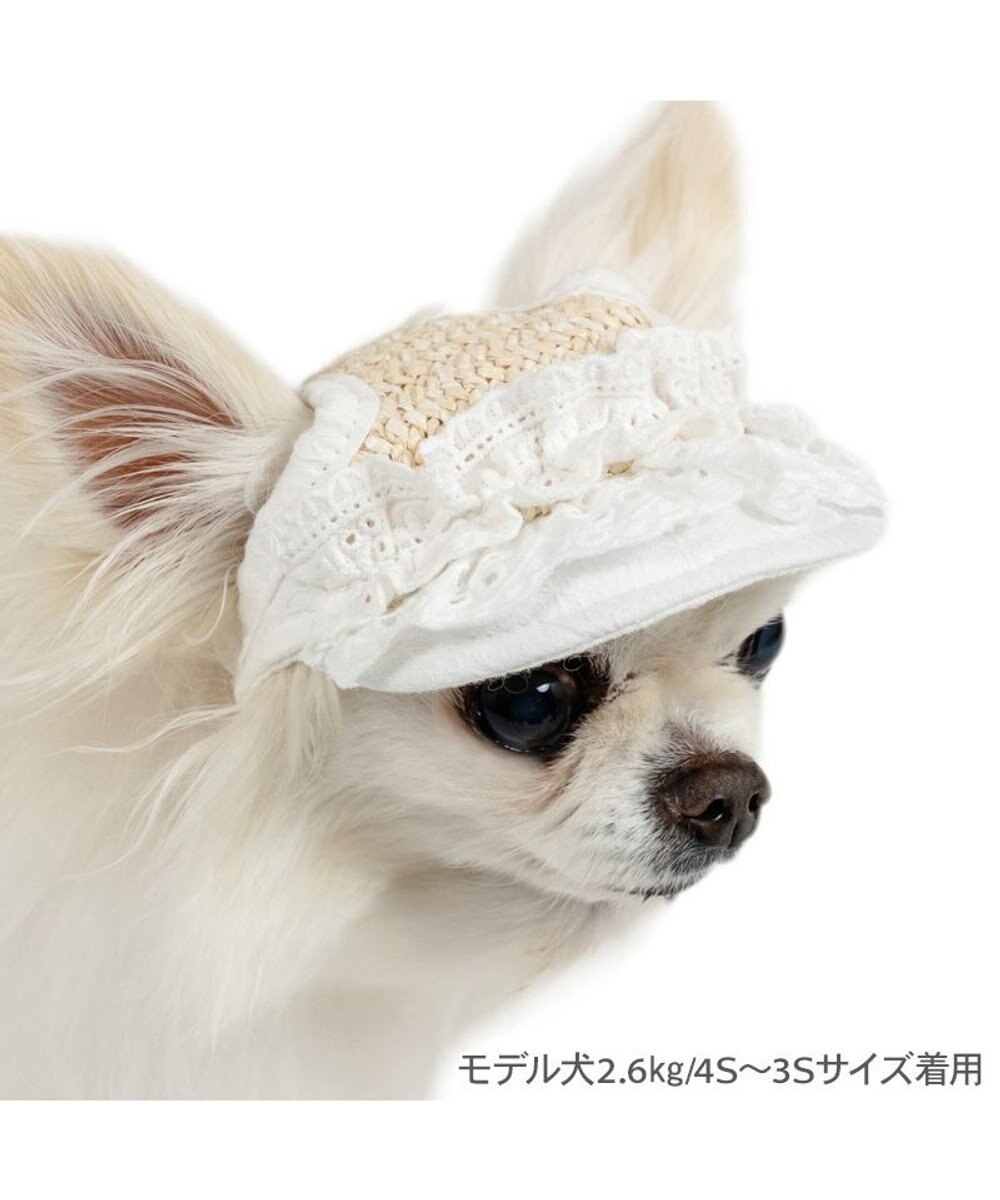 PET PARADISE ペットパラダイス フリル キャップ ４Ｓ～３Ｓ/ＳＳ～Ｓ 