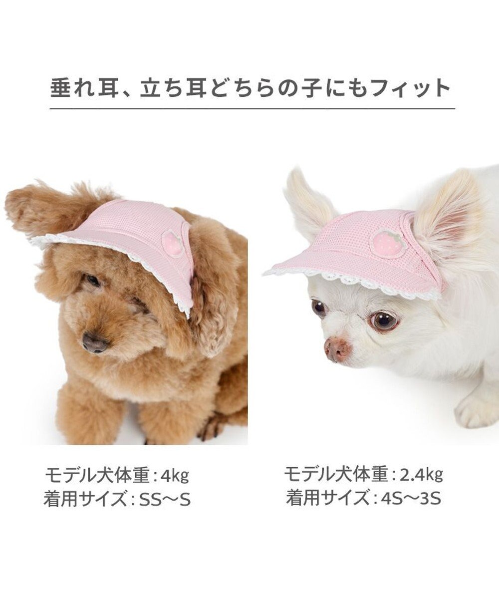 PET PARADISE ペットパラダイス 苺 帽子 ４Ｓ～３Ｓ/ＳＳ～Ｓ 