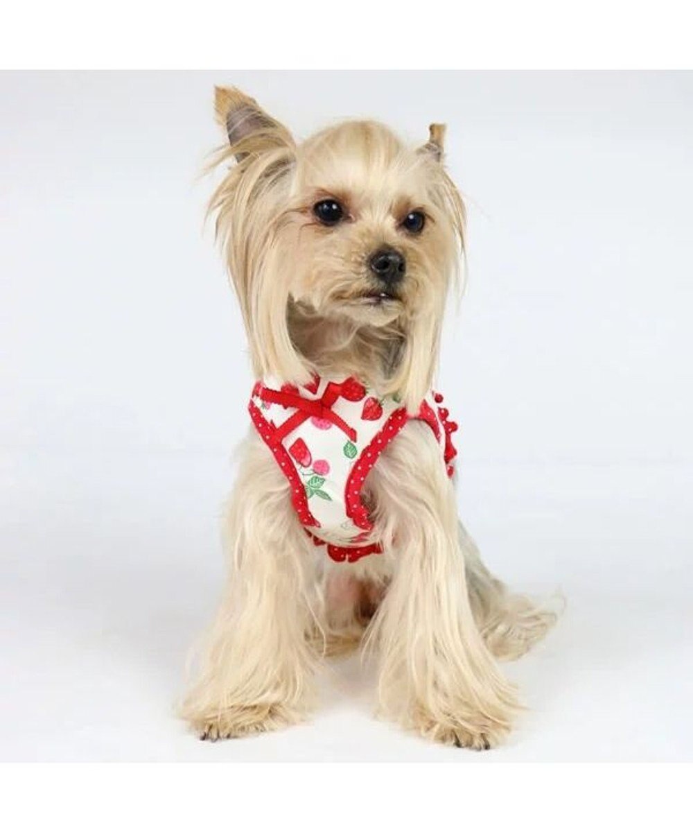 2 4 2 13ウェルカムパピーフェア 犬用品 ペットグッズ お散歩 ペットパラダイス 犬 ハーネス 3s 野いちご 柄 ベストハーネス 赤 超小型犬 苺 いちご イチゴ 野いちご 野苺 おさんぽ おでかけ お出掛け おしゃれ オシャレ かわいい Pet Paradise 通販 雑貨 2 4 2 13ウェルカムパピーフェア 犬用品 ペットグッズ お散歩 ペットパラダイス 犬 ハーネス 3s 野いちご 柄 ベストハーネス 赤 超小型犬 苺 いちご イチゴ 野いちご 野苺 おさんぽ おでかけ お出掛け おしゃれ オシャレ かわいい Pet Paradise 通販 雑貨
