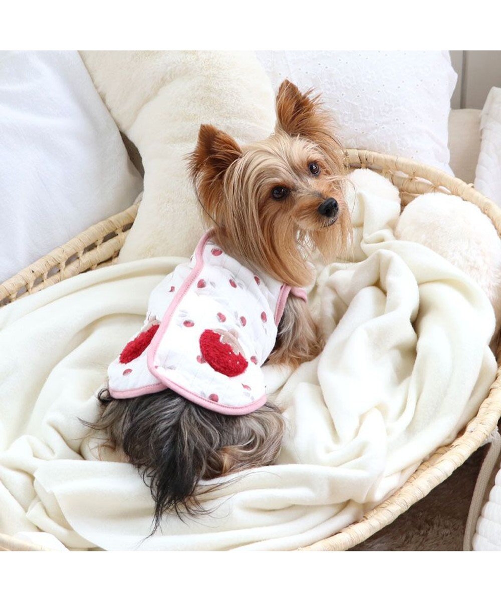 PET PARADISE ペットパラダイス ふわりと キルトベスト 《苺》 超小型犬 小型犬 