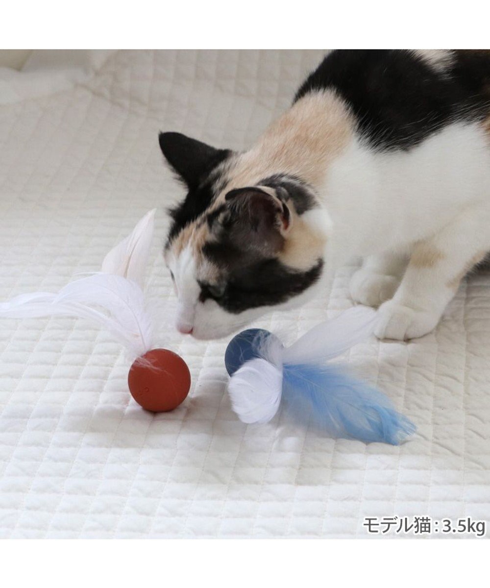 PET PARADISE ペットパラダイス 猫シリコン ボール 《ブルー》 