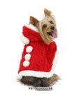 PET PARADISE ペットパラダイス サンタ ポンチョ 小型犬
