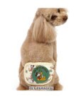 PET PARADISE ディズニー ミッキー&プルート マナーベルト 小型犬