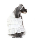PET PARADISE 犬の服 犬 フリルワンピース白  【小型犬】