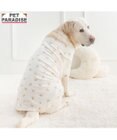 PET PARADISE ペットパラダイス くまさん はじめてのタンクトップ 《おやすみ柄》 中型犬 大型犬