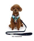 PET PARADISE J.PRESS マドラスチェック ハーネス＆リード ３Ｓ 小型犬