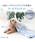 PET PARADISE ペットパラダイス クールブランケット 単品 (90×60cm)  《 苺柄 / ネイティブ柄 》
