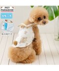 PET PARADISE ペットパラダイス くまちゃん ポケットクール タンクトップ 《アイス柄》 小型犬
