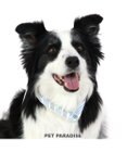 PET PARADISE クールリング 犬 クールネック ひんやり 28℃クールリング 【M】 リフレクター 水色 ベージュ 反射材付き