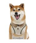 PET PARADISE ペットパラダイス ベストハーネス 《ステッチ》 ＳＭ 中型犬