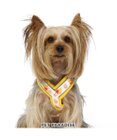 PET PARADISE 犬 ハーネス ディズニー くまのプーさん アクティブハーネス 【SS】