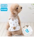 PET PARADISE ペットパラダイス 襟付き ポケットクール タンクトップ 《くまちゃん》 小型犬