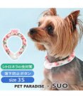 PET PARADISE ペットパラダイス 28℃クールリング SUO 《いちご》 〔3S〕 小型犬